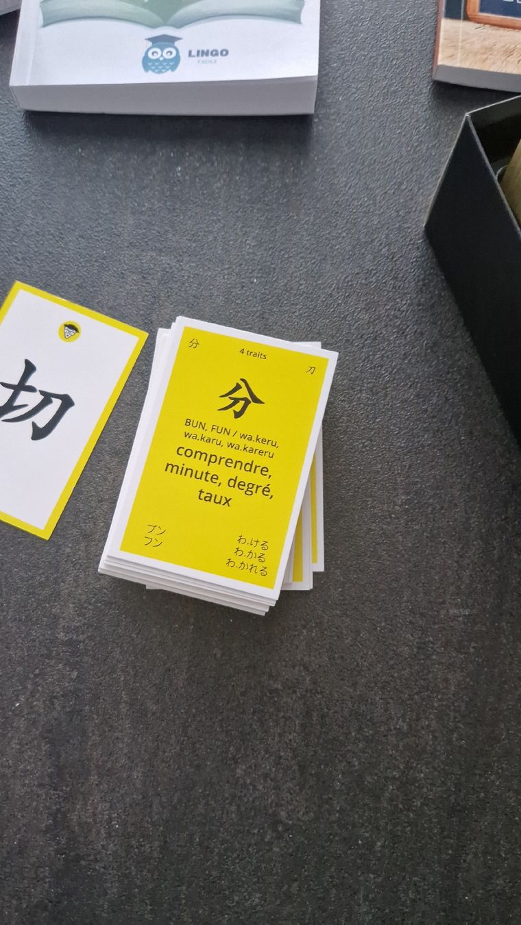 Libri: le japonais pour les nuls – Usato da altishofen venduto da Nippo 4