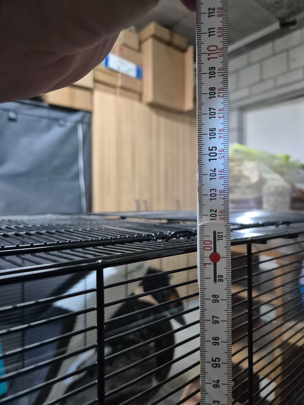 Gabbie, trasporto & Sicurezza: Nagerkäfig für Hamster oder Mäuse inkl. Zubehör – Usato da Auenstein venduto da stamsi 4