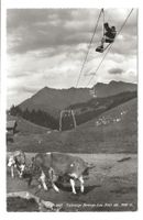 Télésiège Bretaye-Lac Noir (VD/FR) Sessellift - Kühe um 1955