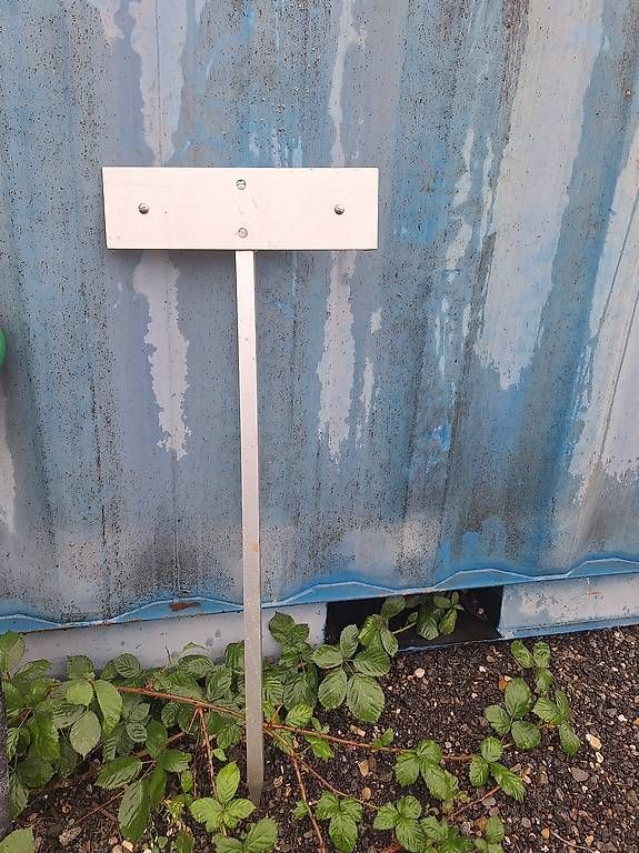Ecriteaux: Parkplatz Schild – D'occasion à Madiswil par Oleander2