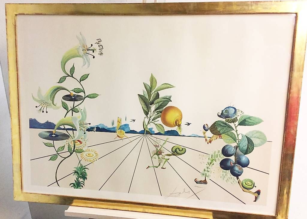 Grafica & Litografie: Lithographie Flordali I, Dali – Usato da Ballwil venduto da ClassicGallery 4