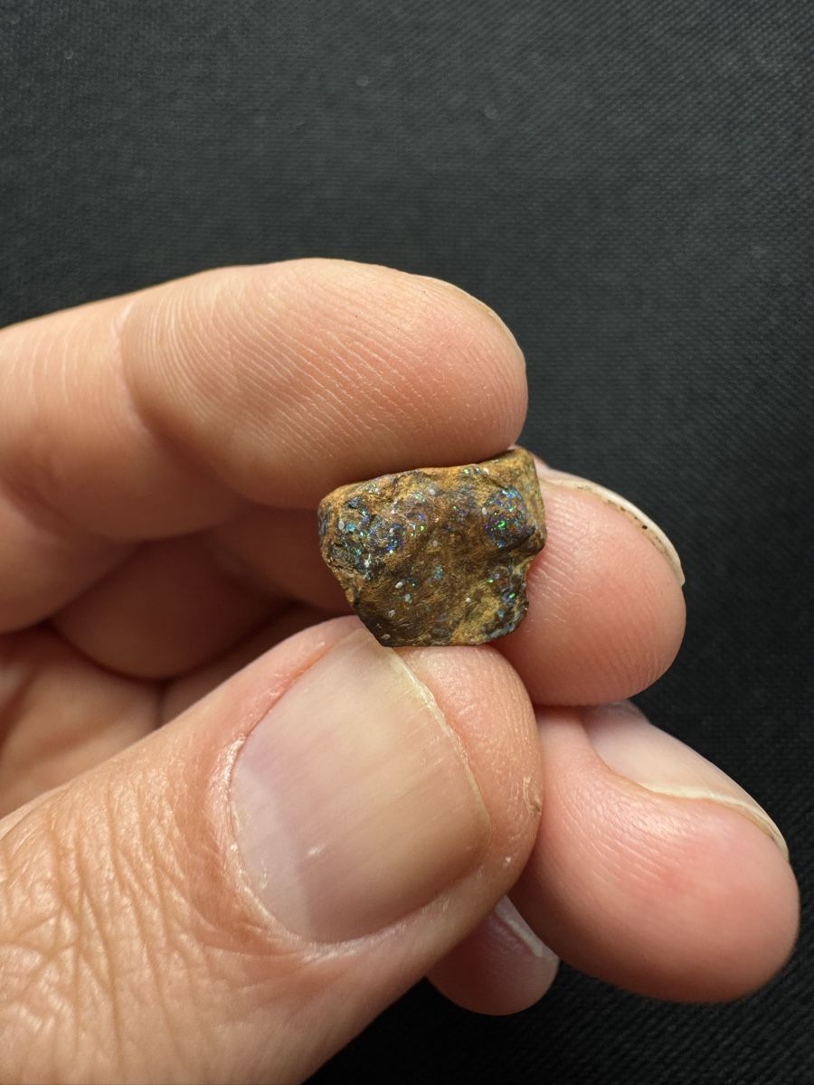 Pietre preziose: Boulder Opal Lot 2, 97.65 ct – Nuovo e nell'imballaggio originale da Wängi venduto da Horus90 8