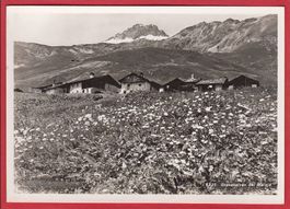 GRAVASALVAS BEI MALOJA, GROSSFORMAT
