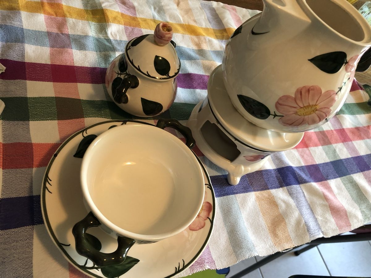 Set di piatti: Geschirr mit Wildrosen-Muster – Usato da Basel venduto da salvagi 5