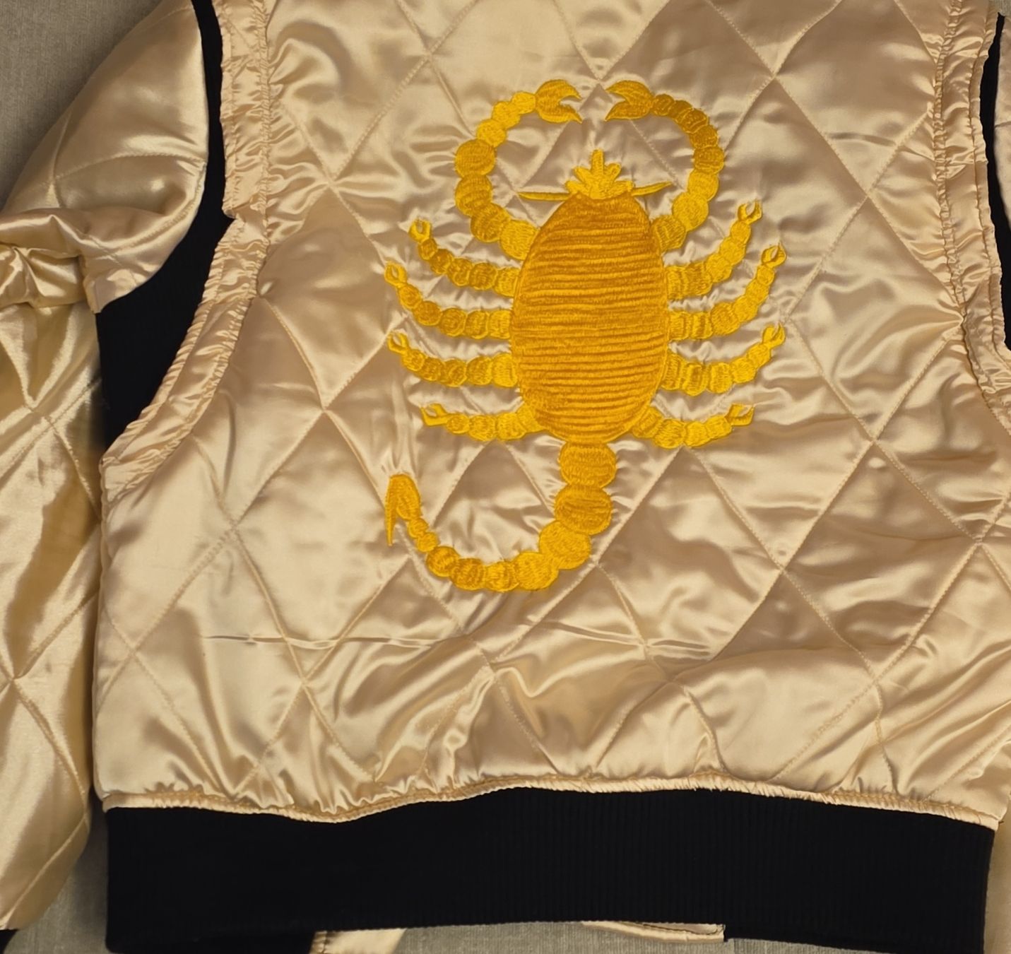 Jacken: Driver Jacke Skorpion  – Gebraucht aus Merlischachen von LawbringerS13