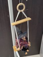 Hexe auf Schaukel neu