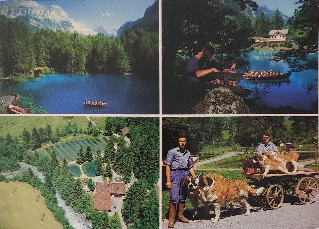 Cartoline postali: BLAUSEE  -  LAC BLEU – Usato da Delémont venduto da Domdom1