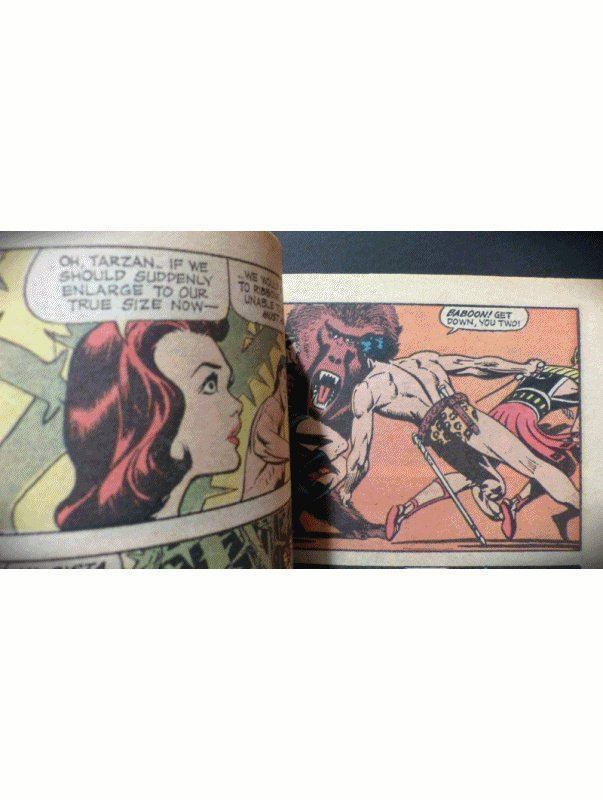 Fumetti: TARZAN #1 BY JOE KUBERT ONE-SHOT COMIC DC DIGEST 1972 – Usato da Lugano venduto da YouWantUS 6