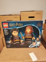 LEGO Harry Potter 76393 Harry Potter und Hermine Granger OVP