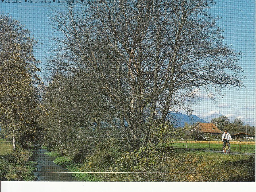 Ansichtskarten: Rheintal Radtour,  ablösbar, 1994 – Gebraucht aus Bürglen TG von StampGraf