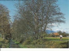 Rheintal Radtour,  ablösbar, 1994