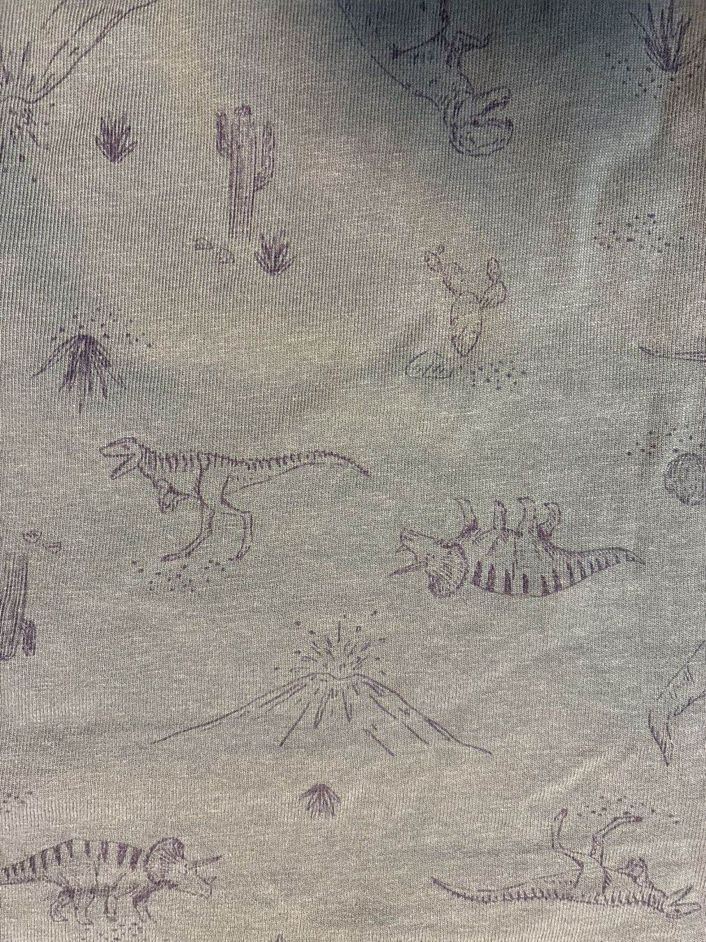 Pullover & Sweatshirts: Kinder Pullover Langarm Grösse 10 A Dinoprint grün – Gebraucht aus Guntershausen von Gloominati 1