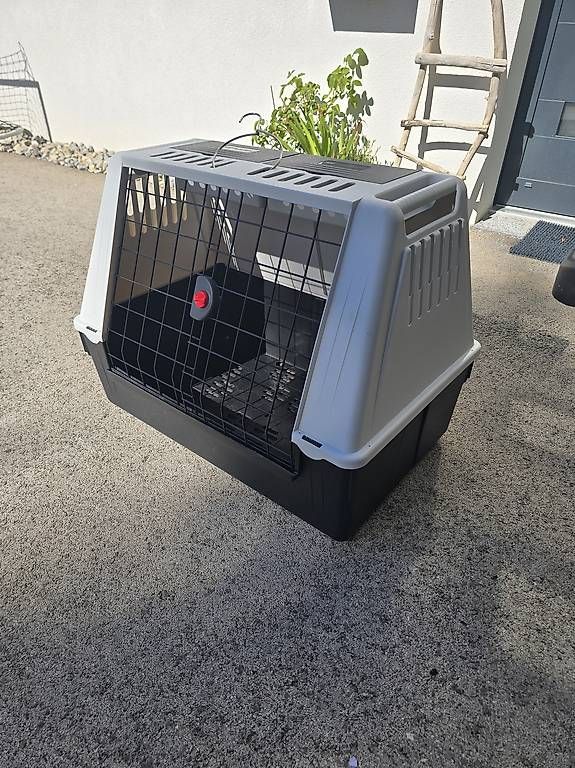 Gabbie, trasporto & Sicurezza: Cage de transport pour chien  – Usato da St-Sulpice venduto da mister1981 2