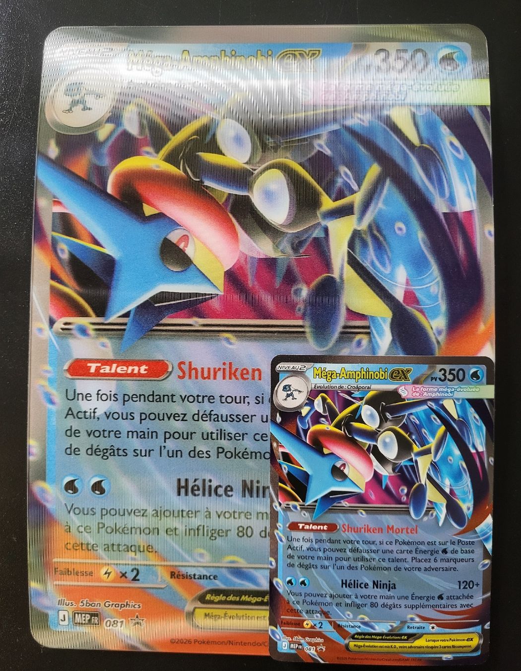 Pokémon Carte collezionabili: Mega Amphinobi ex Jumbo + normal  – Nuovo (secondo la descrizione) da St-Sulpice VD venduto da cel_ysf7