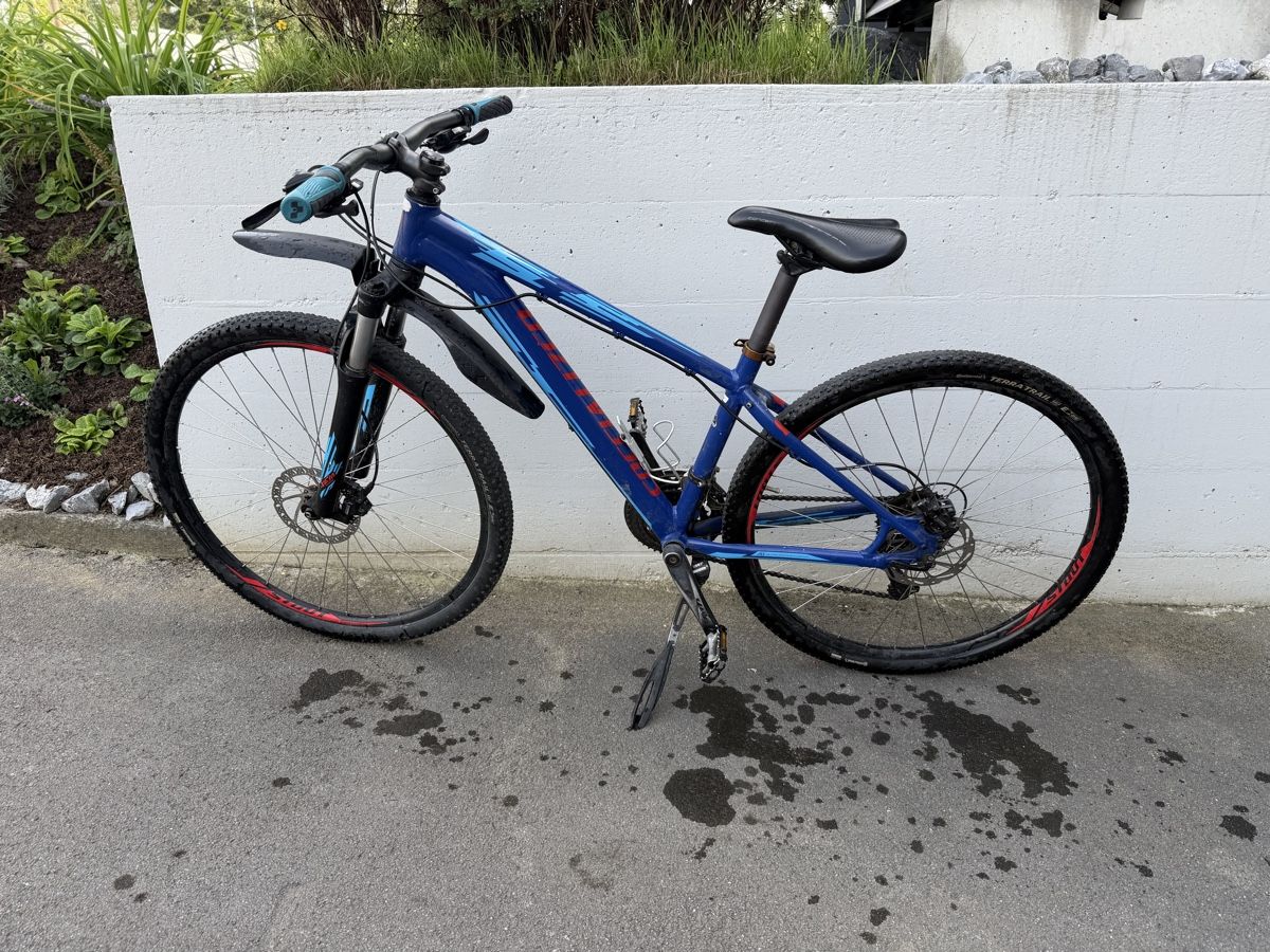 Specialized Biciclette: Mountainbike Specialized Pitch Comp – Usato da Egnach venduto da Staubius2 1