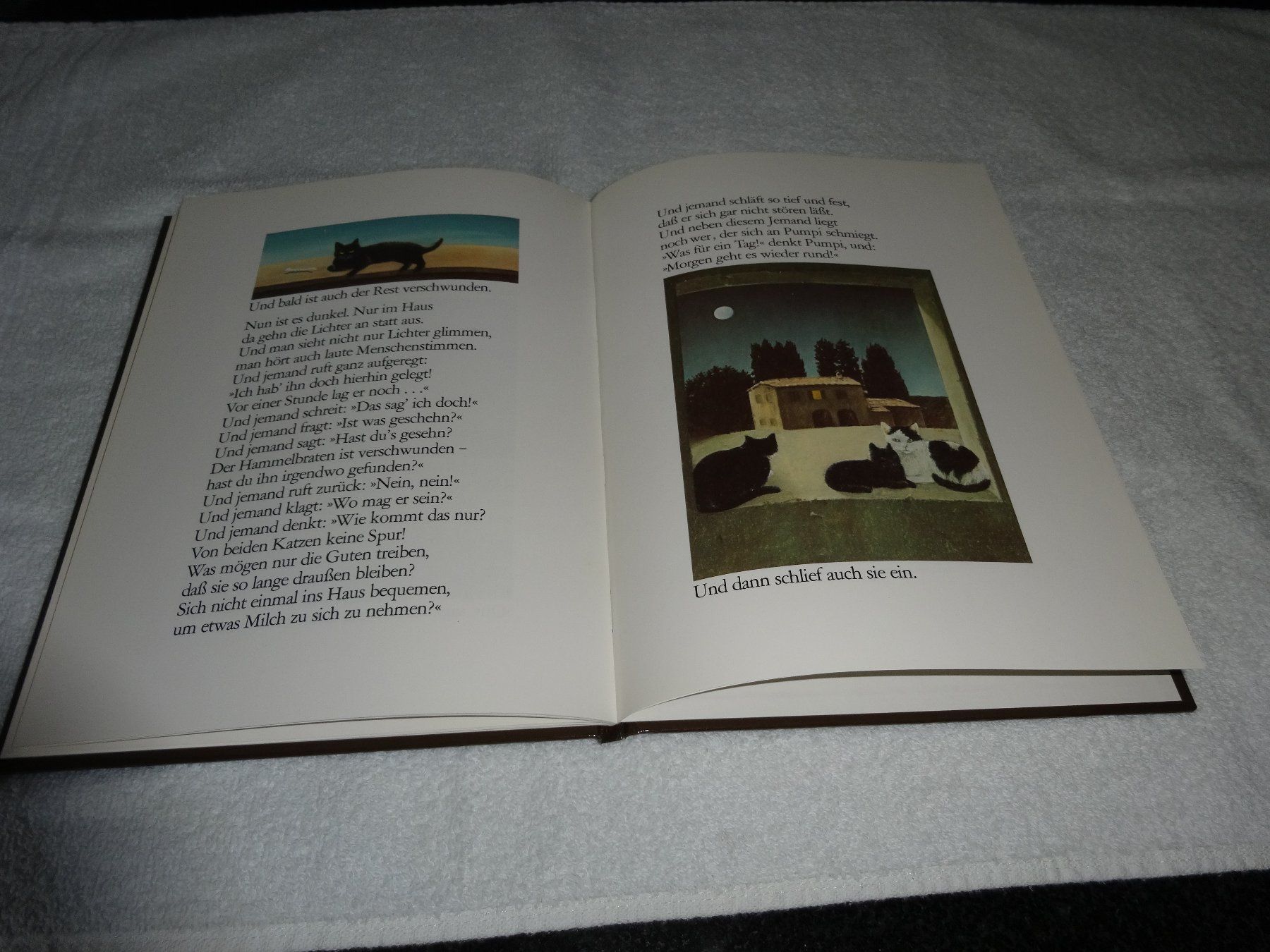 Libri: Wasfür ein Tag1978 – Usato da Neerach venduto da jenny062 7