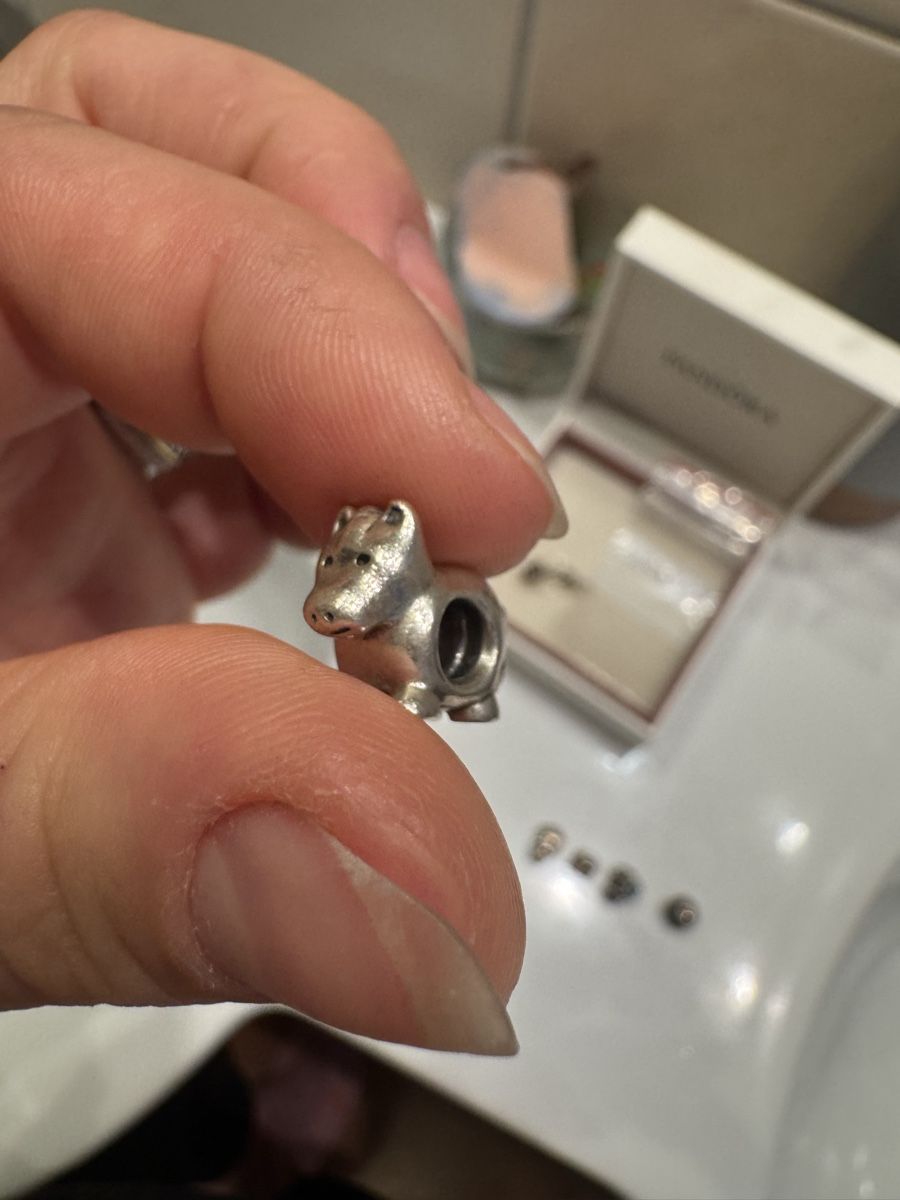 Pandora Anhänger: Pandora Charms  – Neu (gemäss Beschreibung) aus Bottenwil von NadjaP. 3