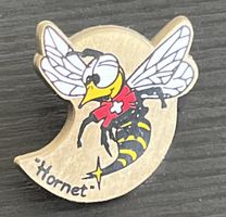 2 Pin Sammlung Schweizer Armee Hornet