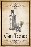 Blechschild-GIN TONIC 1761-BRAUN