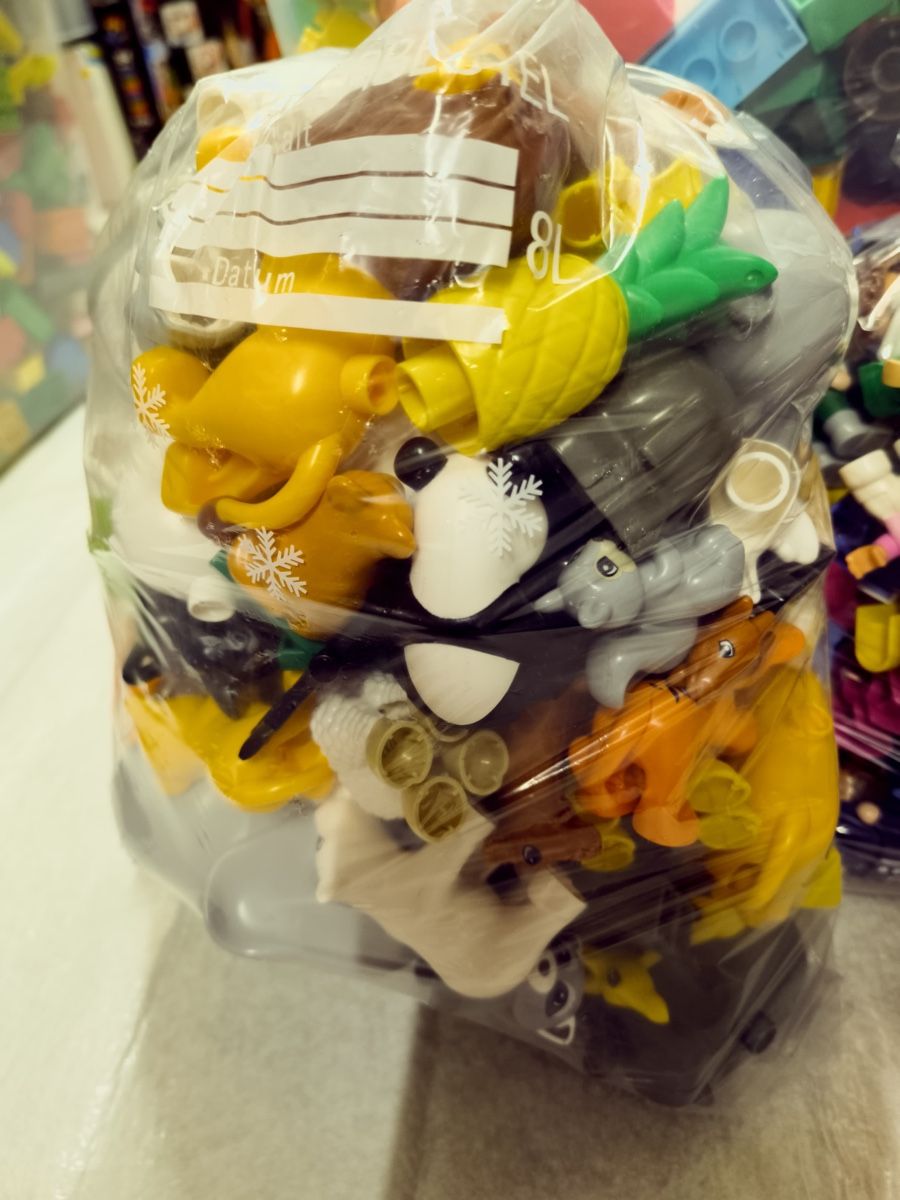 Lego Jouets: Lego Duplo diverses – D'occasion à Allschwil par KYJS 1