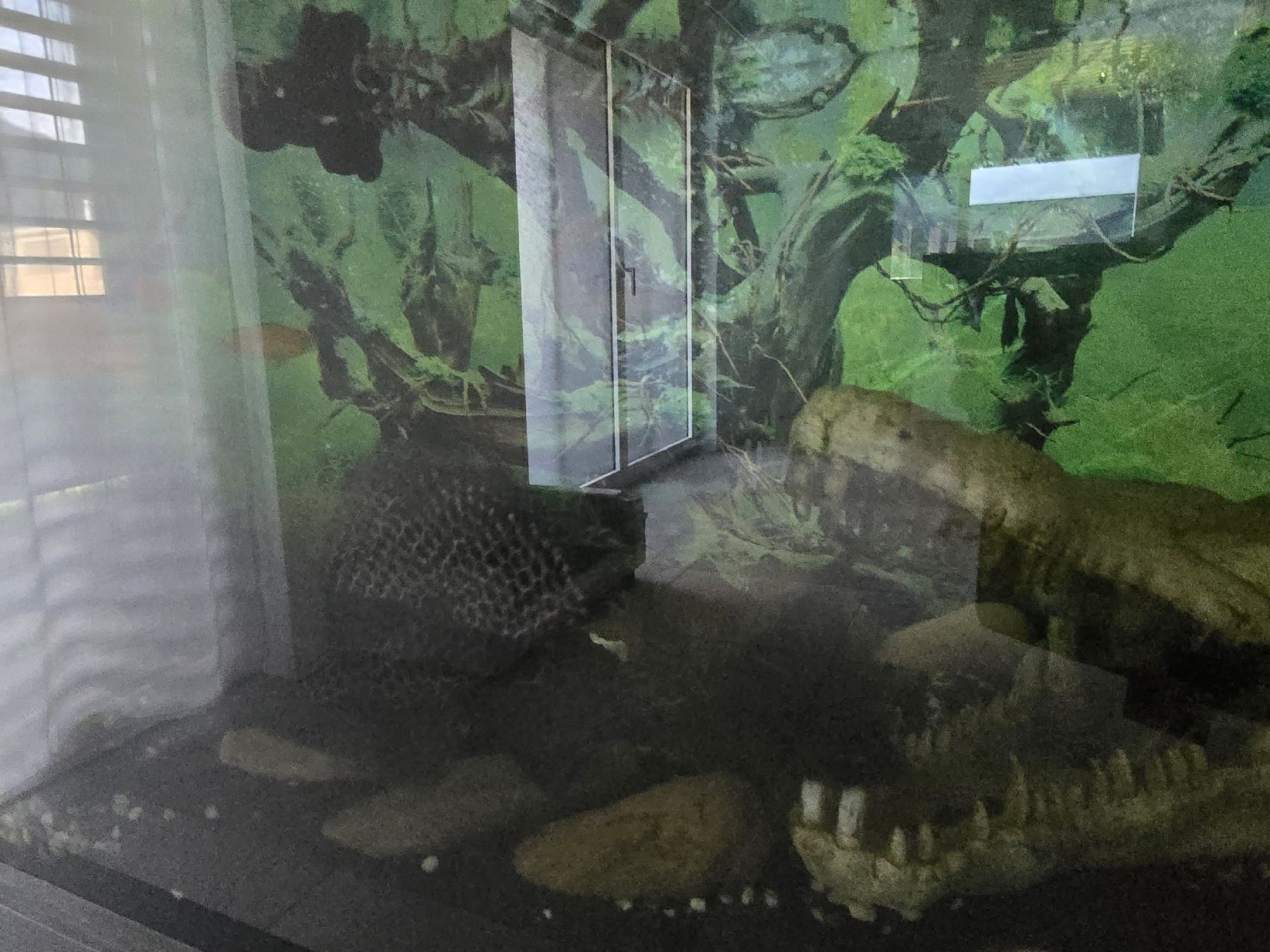 Acquari: Aquarium mit Unterschrank und Filter – Usato da Giswil venduto da cavalier04 6