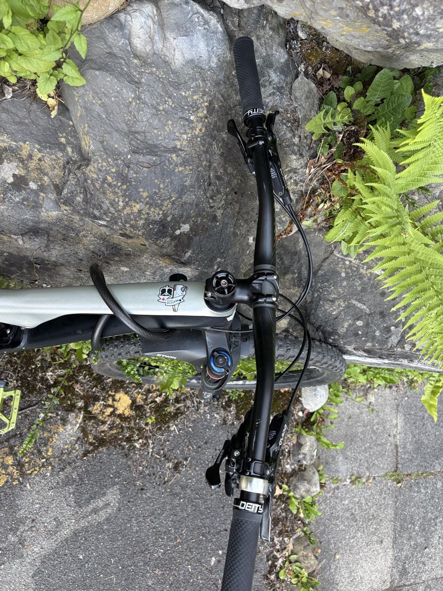 Specialized Biciclette: Specialized 2016 Carbon M – Usato da Luzern venduto da ele_v75f 5