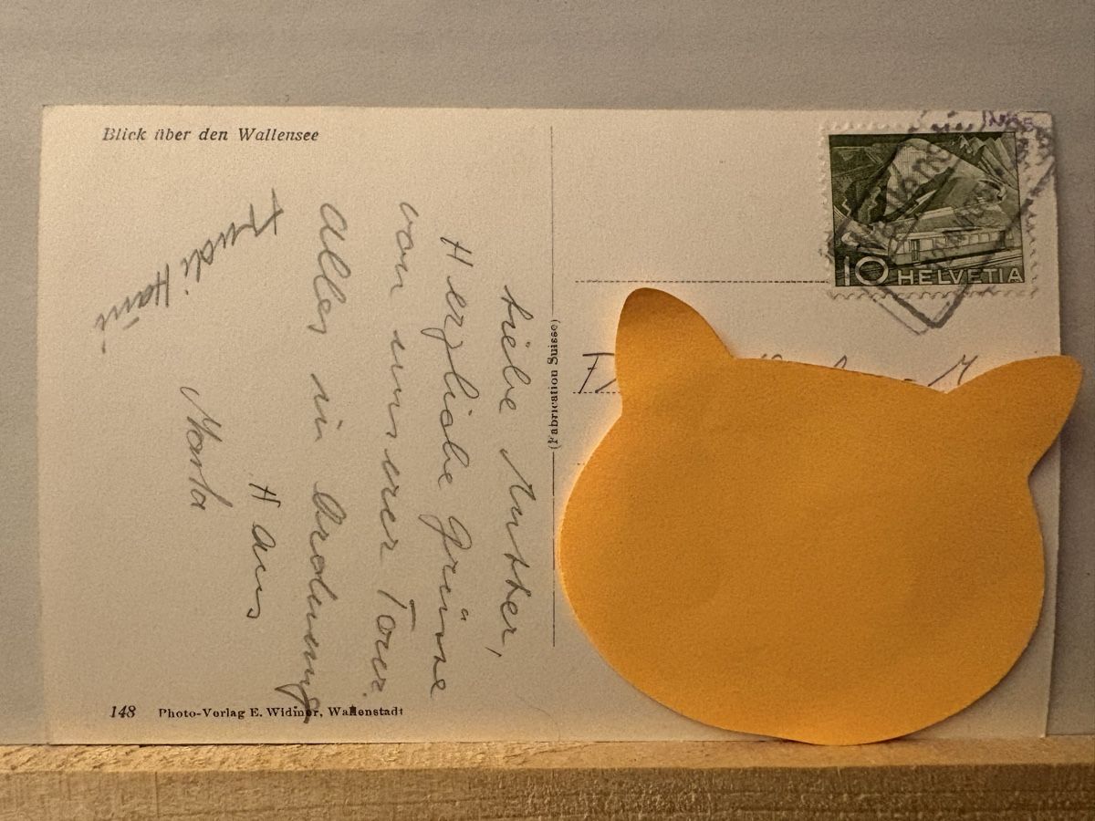 Cartoline postali: AK von Wallensee – Usato da Rümlang venduto da Brieftaube1 1