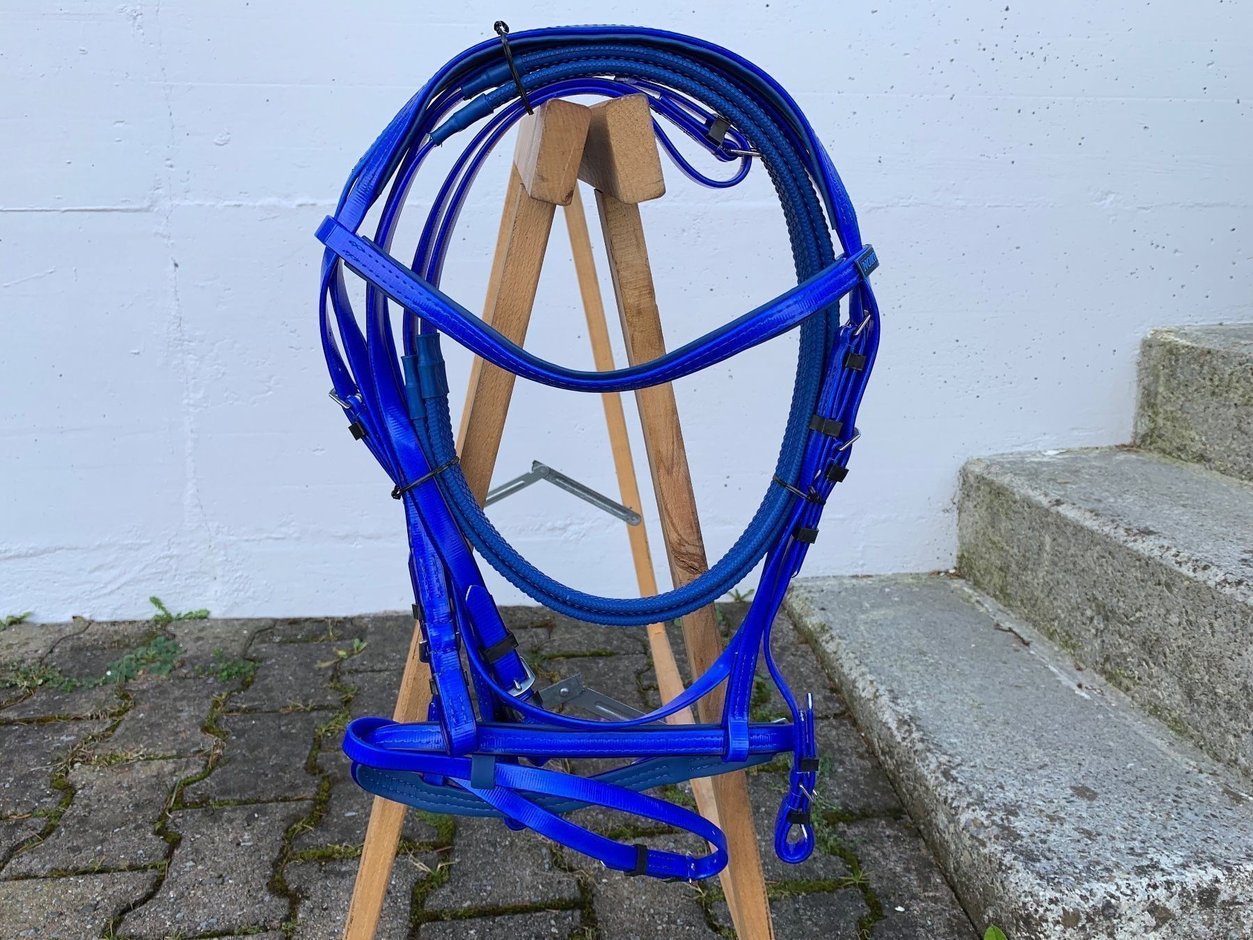 Selle & Accessori: schöner blauer Reitzaum – Usato da Feldbach venduto da Fea1 9