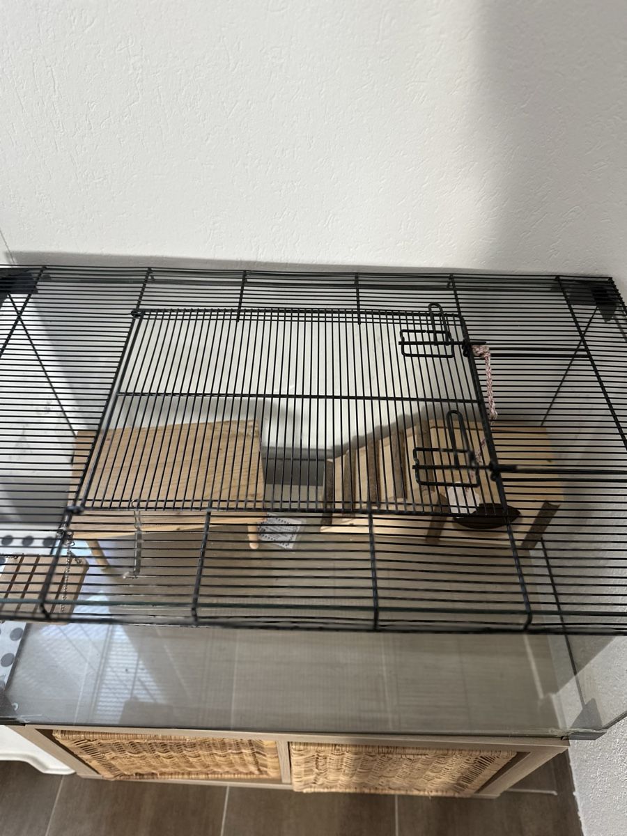 Gabbie, trasporto & Sicurezza: Hamster Cage with Accessories & Storage Unit - Nice! – Usato da Lenzburg venduto da buy_my92 6