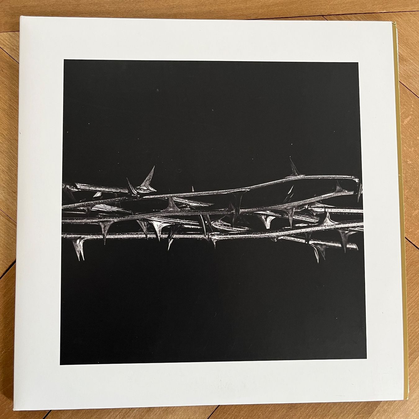 Dischi in vinile: Amenra - De Doorn - Vinyl LP – Usato da Lenzburg venduto da sch_lml8