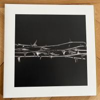 Amenra - De Doorn - Vinyl LP