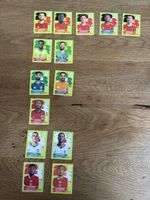Panini 2026