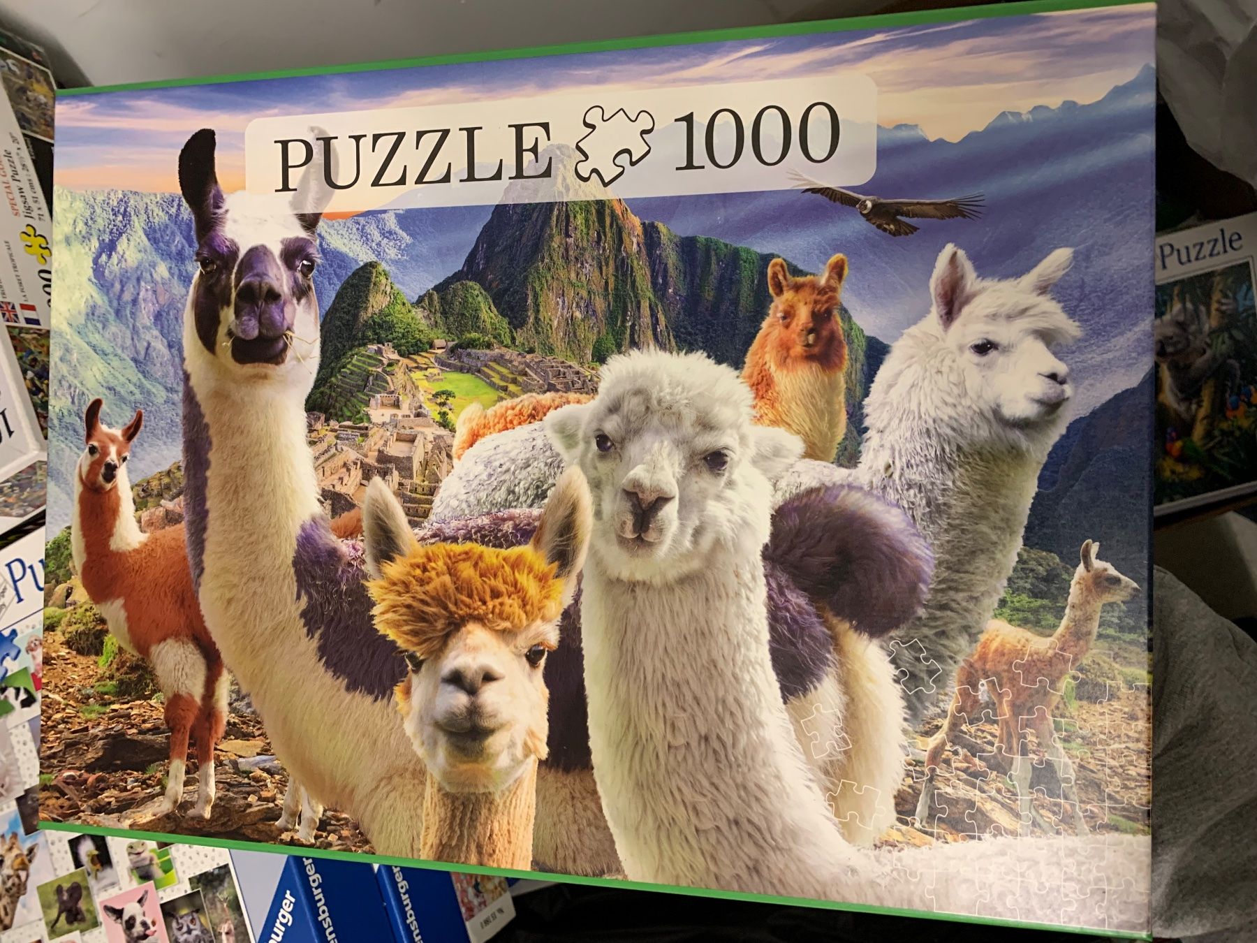 Puzzle: 5 Puzzles (je 1000 Teile) – Usato da Horgen venduto da kat_q79b 4