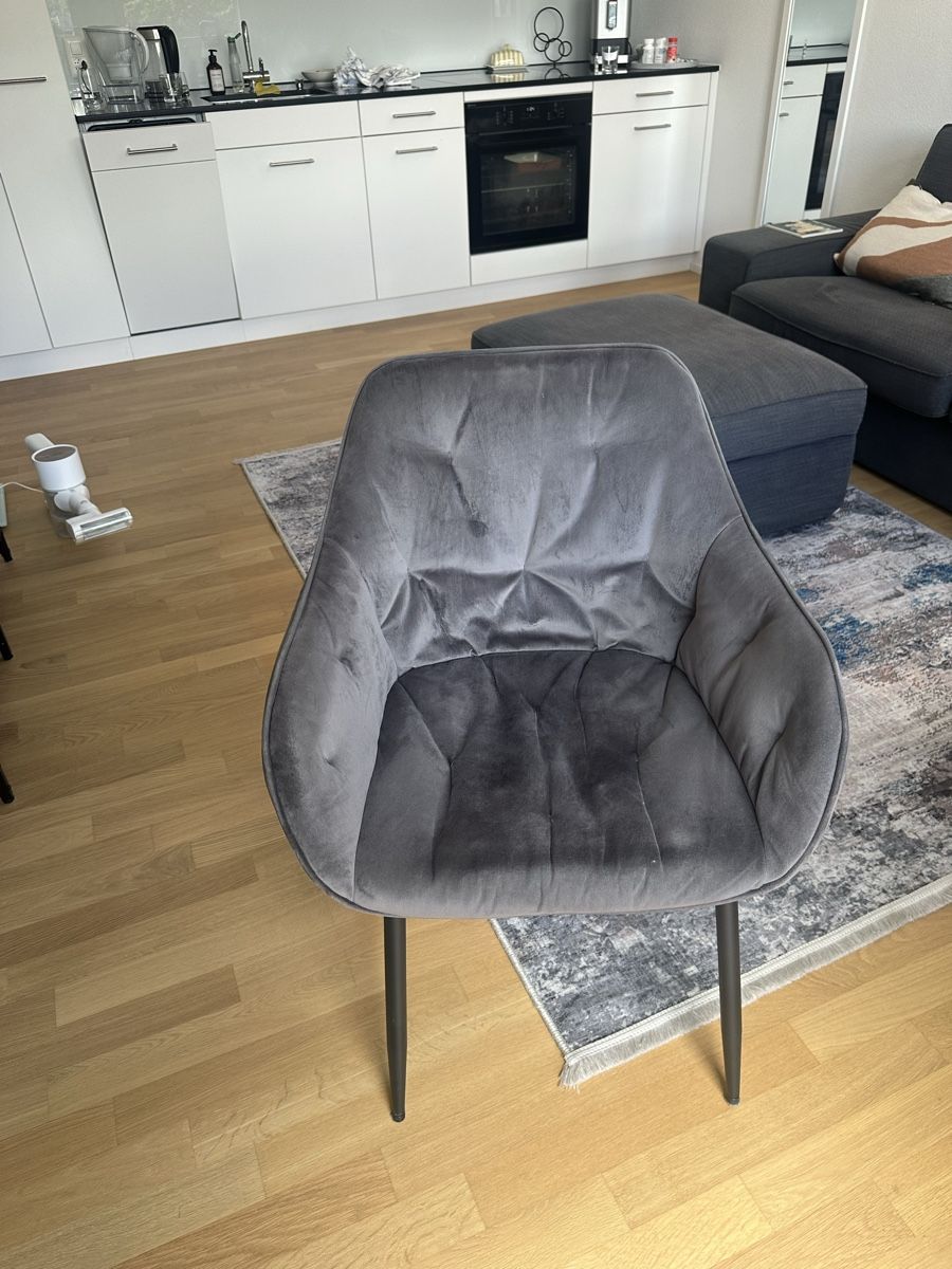 Sedie: Elegant Velvet Dining Chair - Grey – Usato da Luzern venduto da kat_jdv6 1