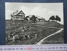 WALD ALP SCHEIDEGG ZH AK GAST UND KURHAUS 1965