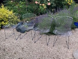 4 chaises ??? KNOLL BERTOIA ???