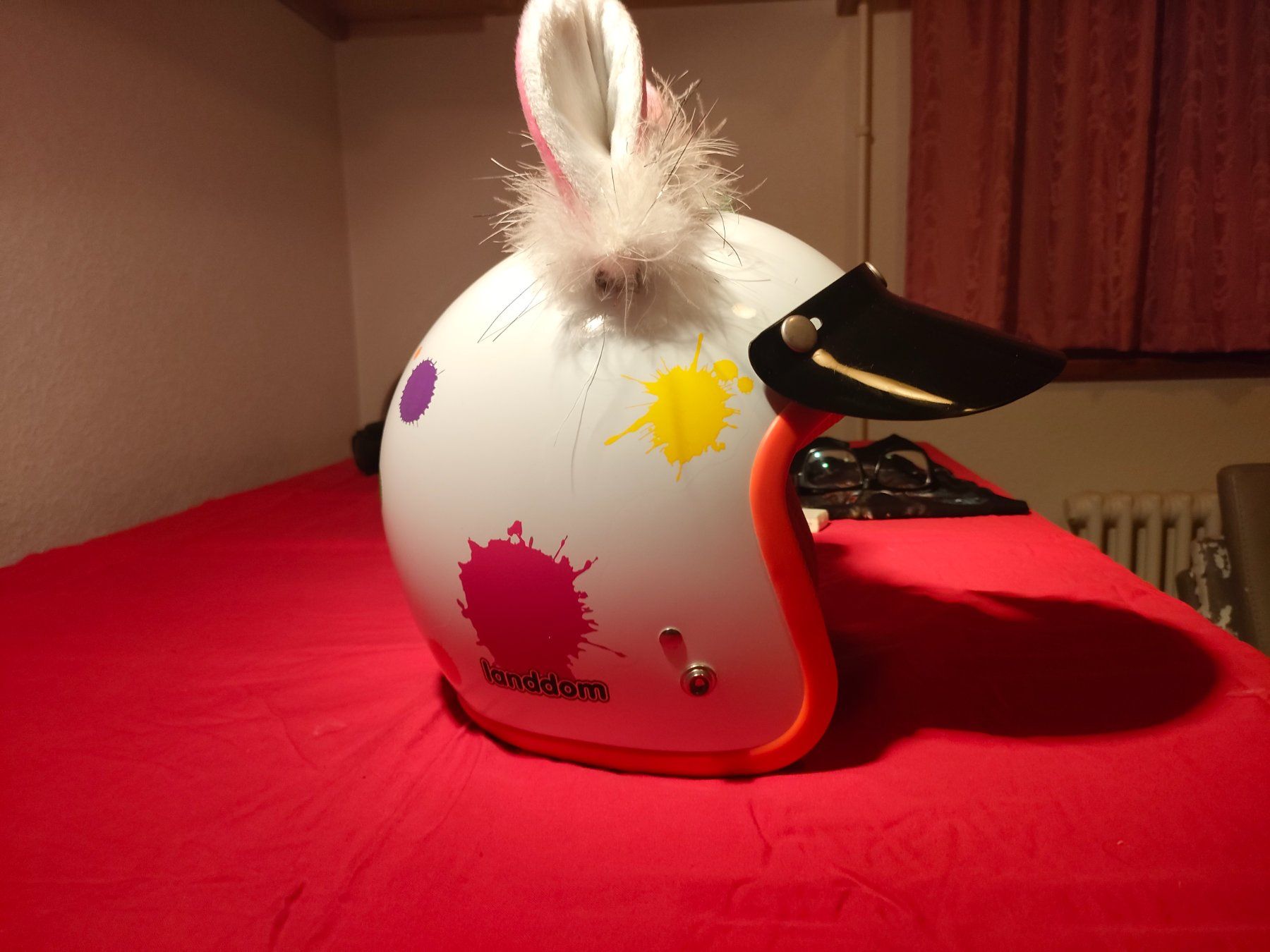 Helme & Visiere: Motorradhelm Frau – Neu (gemäss Beschreibung) aus Erstfeld von wyr_xsd5 5