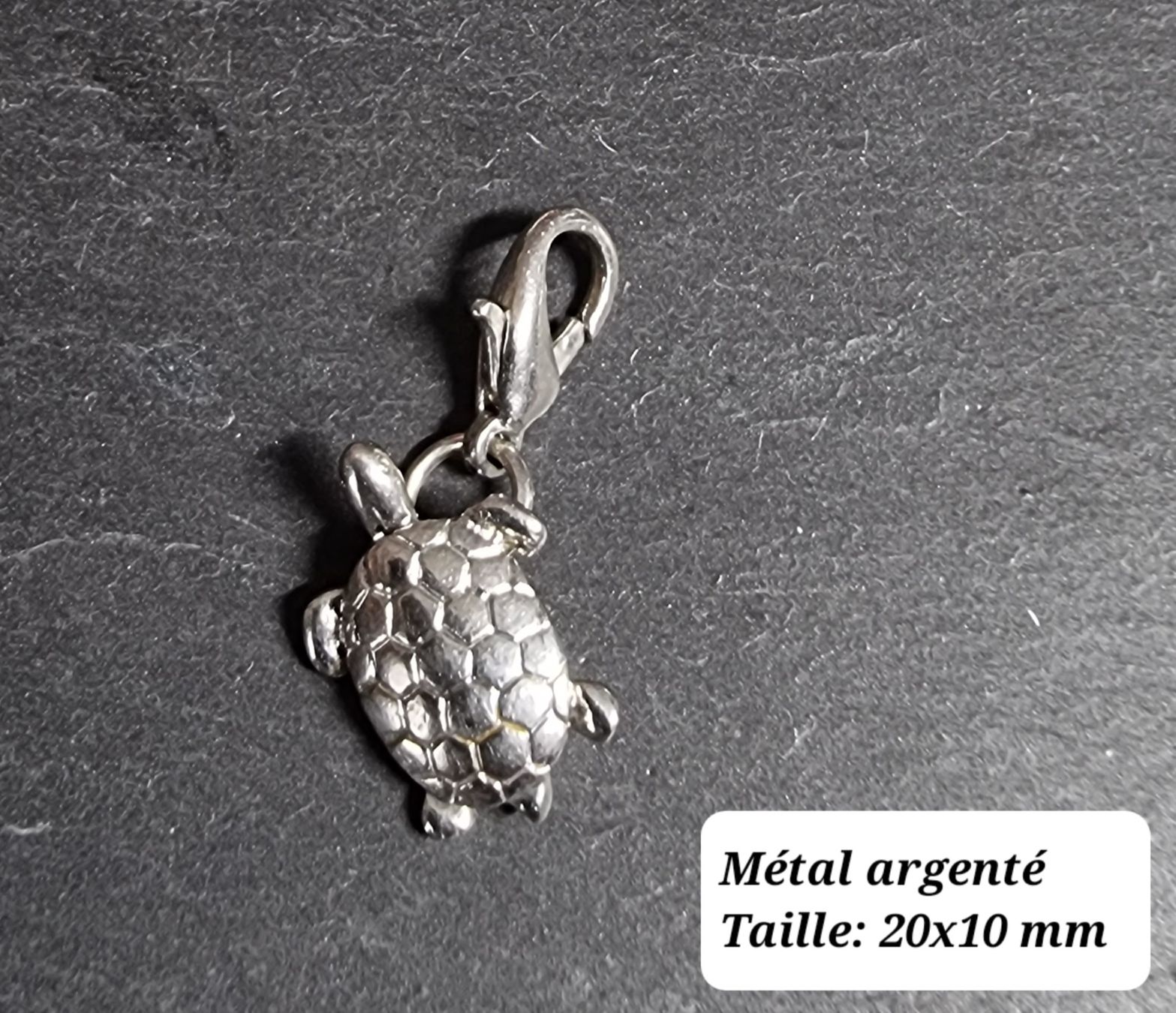 Anhänger: Charm argenté tortue de mer – Neu (gemäss Beschreibung) aus Veyrier von Leilazizou