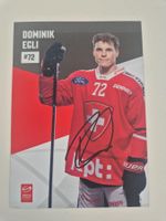 Autogrammkarte Dominik Egli Originalunterschrift