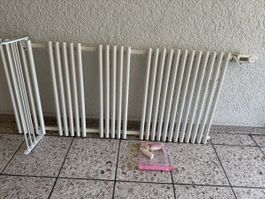 Badheizkörper