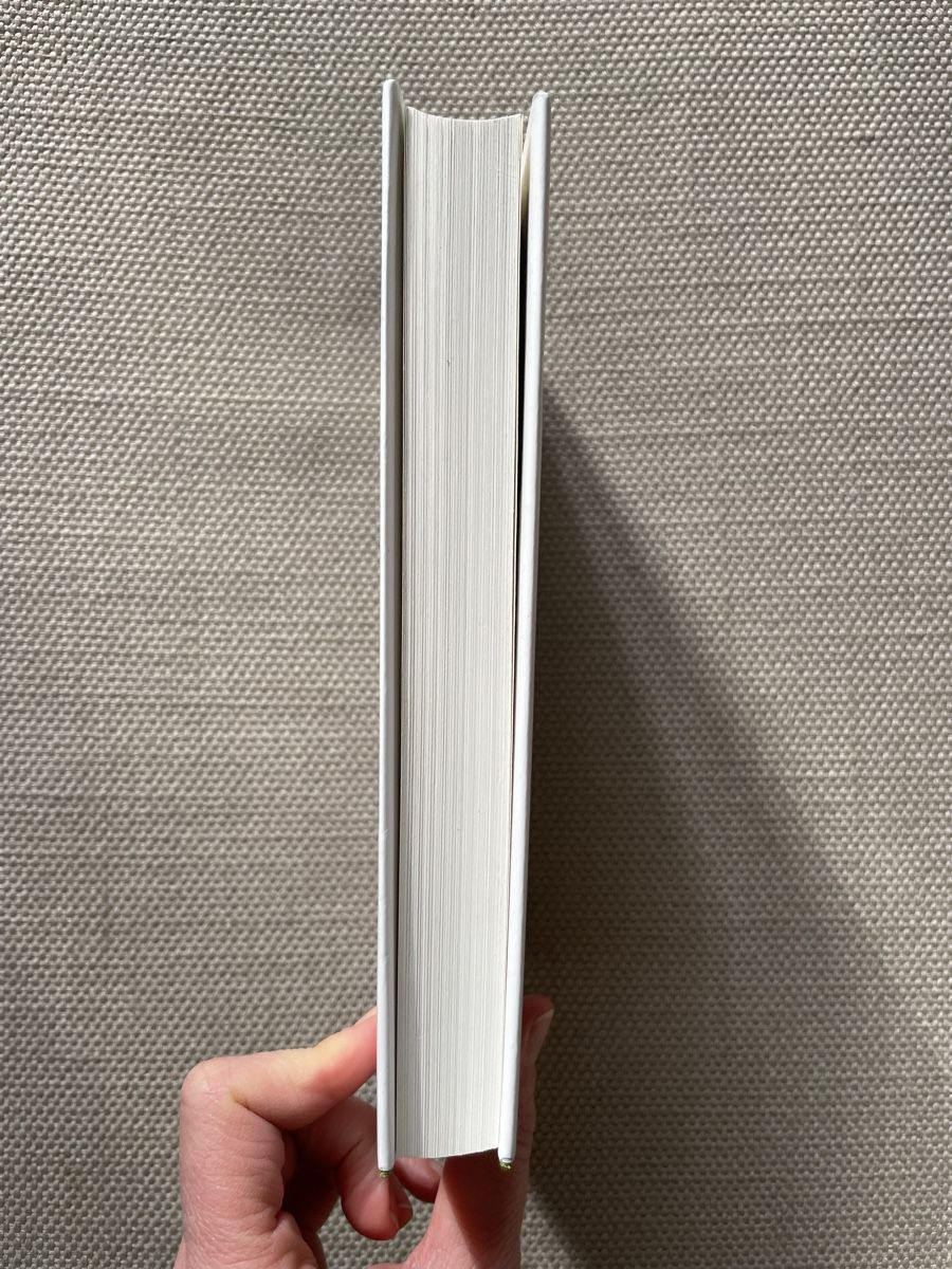 Libri: Charles Lewinsky, Rauch und Schall – Usato da Zürich venduto da rf_fr 3