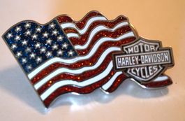 Pin Harley Davidson 2006 USA Gross