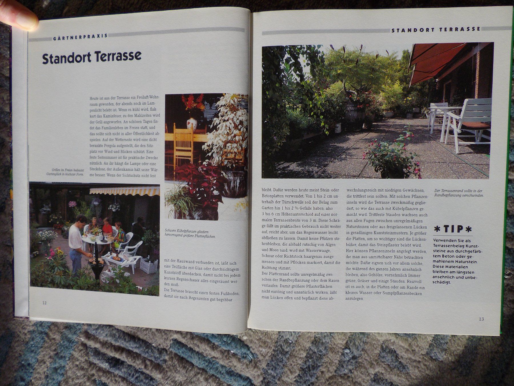 Libri: Gärtnern auf Terrasse und Balkon – Usato da Uster venduto da urs_75by 3
