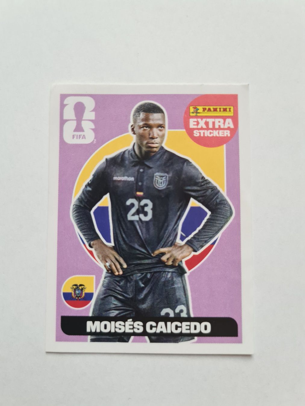 Panini Carte collezionabili: Panini WM 2026 - Extra Sticker Moisés Caicedo – Usato da Grosswangen venduto da Spieler10