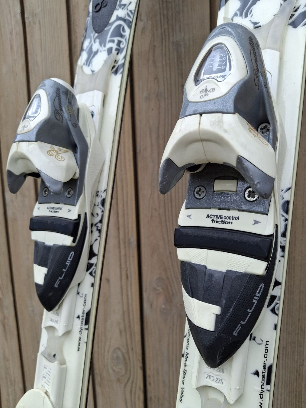 Dynastar Sci: Dynastar Ski 163cm – Usato da Plasselb venduto da PG14 2