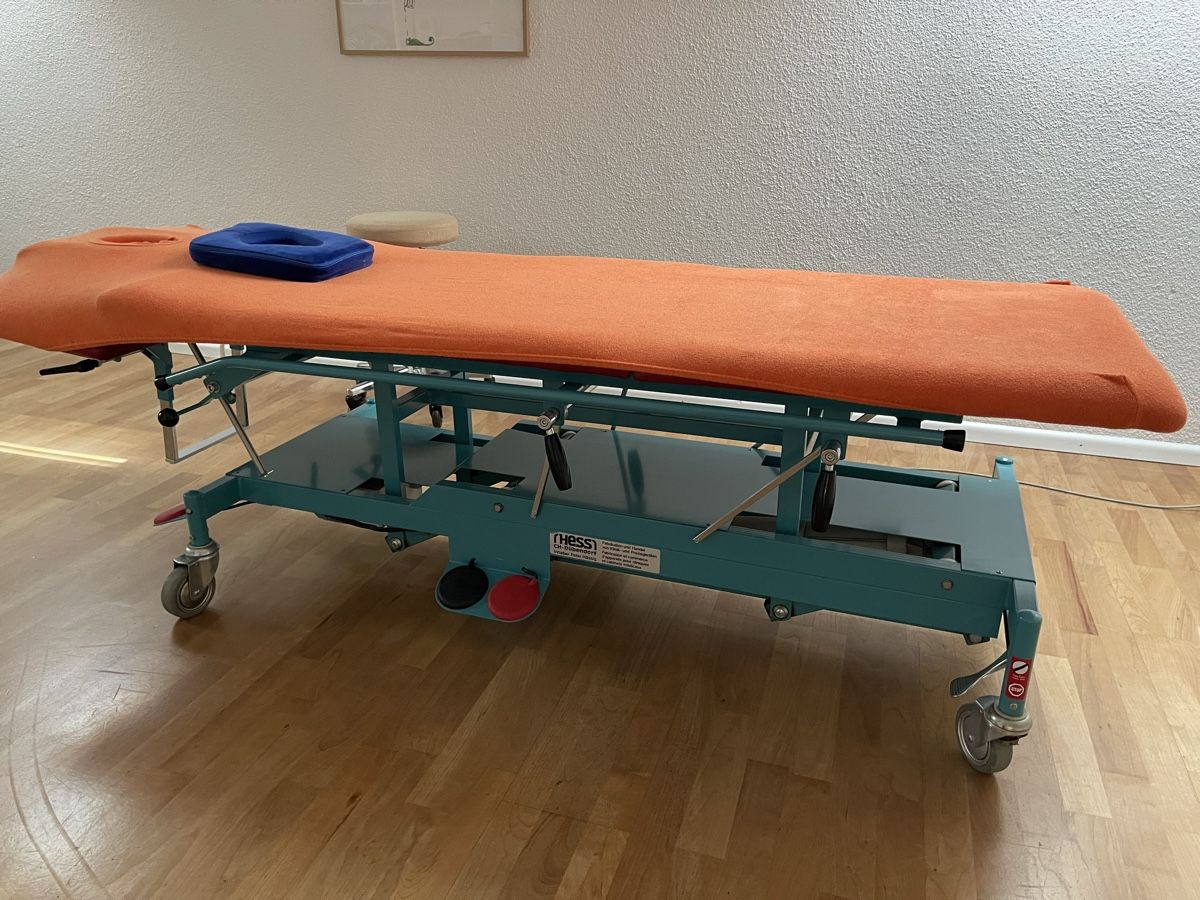 Sedie a sdraio: Therapieliege elektrisch – Usato da Basel venduto da grieg325 3