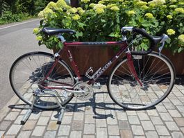 Canyon Vuelta / 53cm