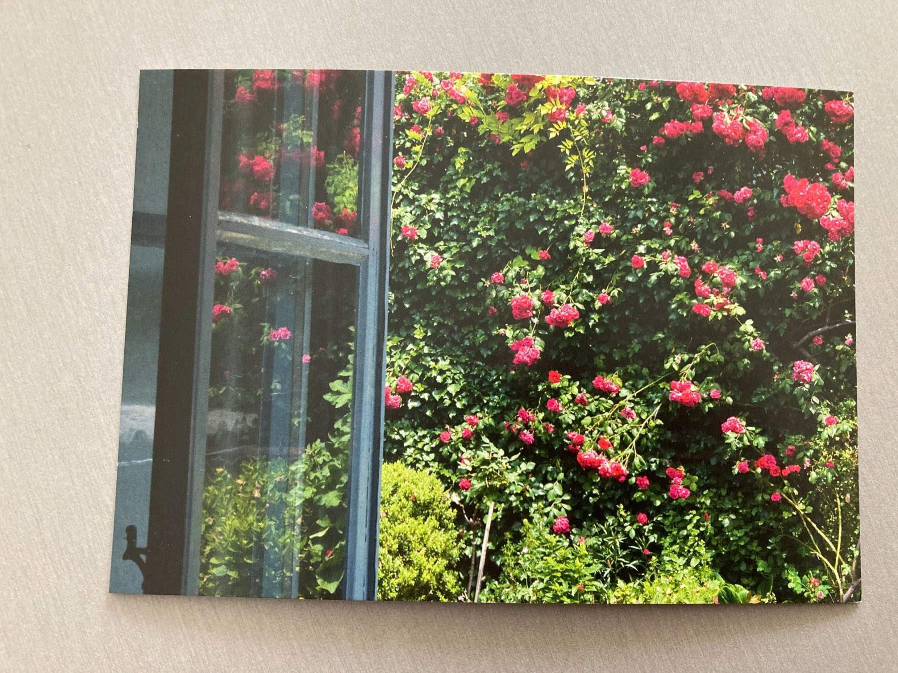 Ansichtskarten: Postkarten Blumen – Neu und originalverpackt aus Obfelden von miau68 5
