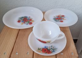 Vintage Arcopal France Geschirr „Fleurs de Champêtre“