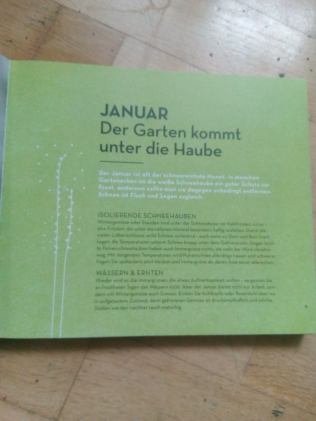 Libri: Wächst das von allein? - oder muss ich jetzt was machen? – Usato da St. Gallen venduto da elk2021 4